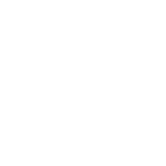 Icon 14