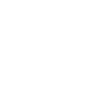 Icon 16