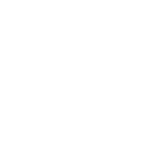 Icon 3 copy
