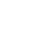 Icon 31