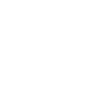 Icon 32
