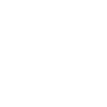 Icon face1